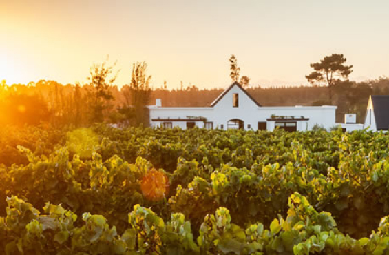 Farm house in Plettenberg Bay